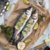 SOUTHERN HAKE RAW H.G.T - Image 2