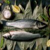 SOUTHERN HAKE RAW H.G.T - Image 3