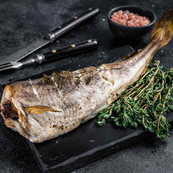 PATAGONIA TOOTHFISH H.G.T